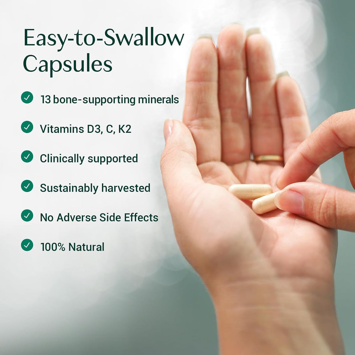 AlgaeCal Plus